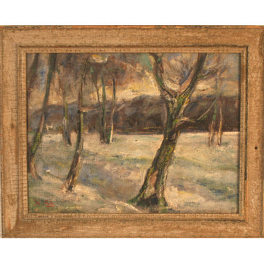 Fauvist