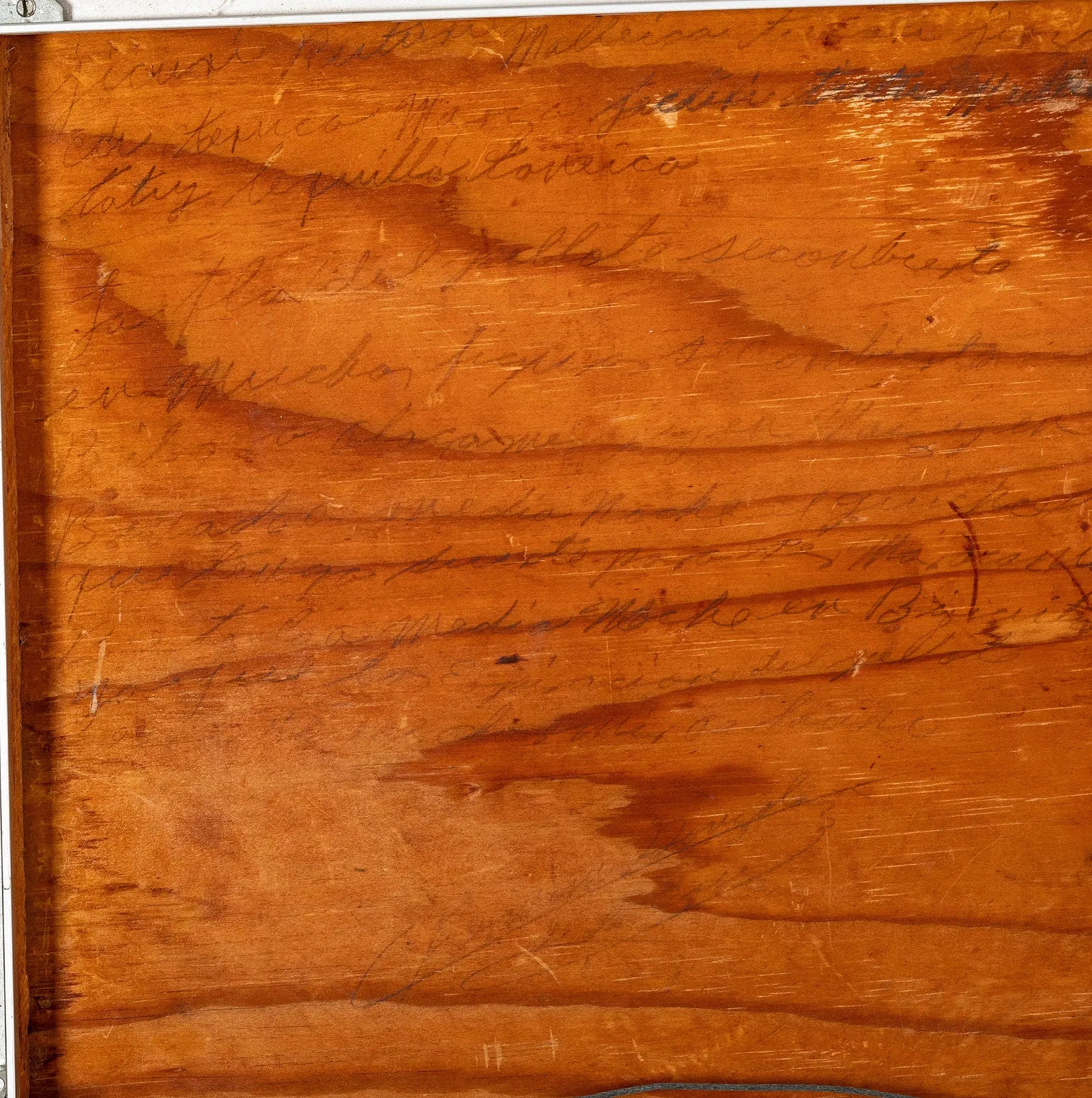 AW13-020: Fermin Gonzalez Rios Mixed Media Fantasy Artwork With Snakes and Scorpions