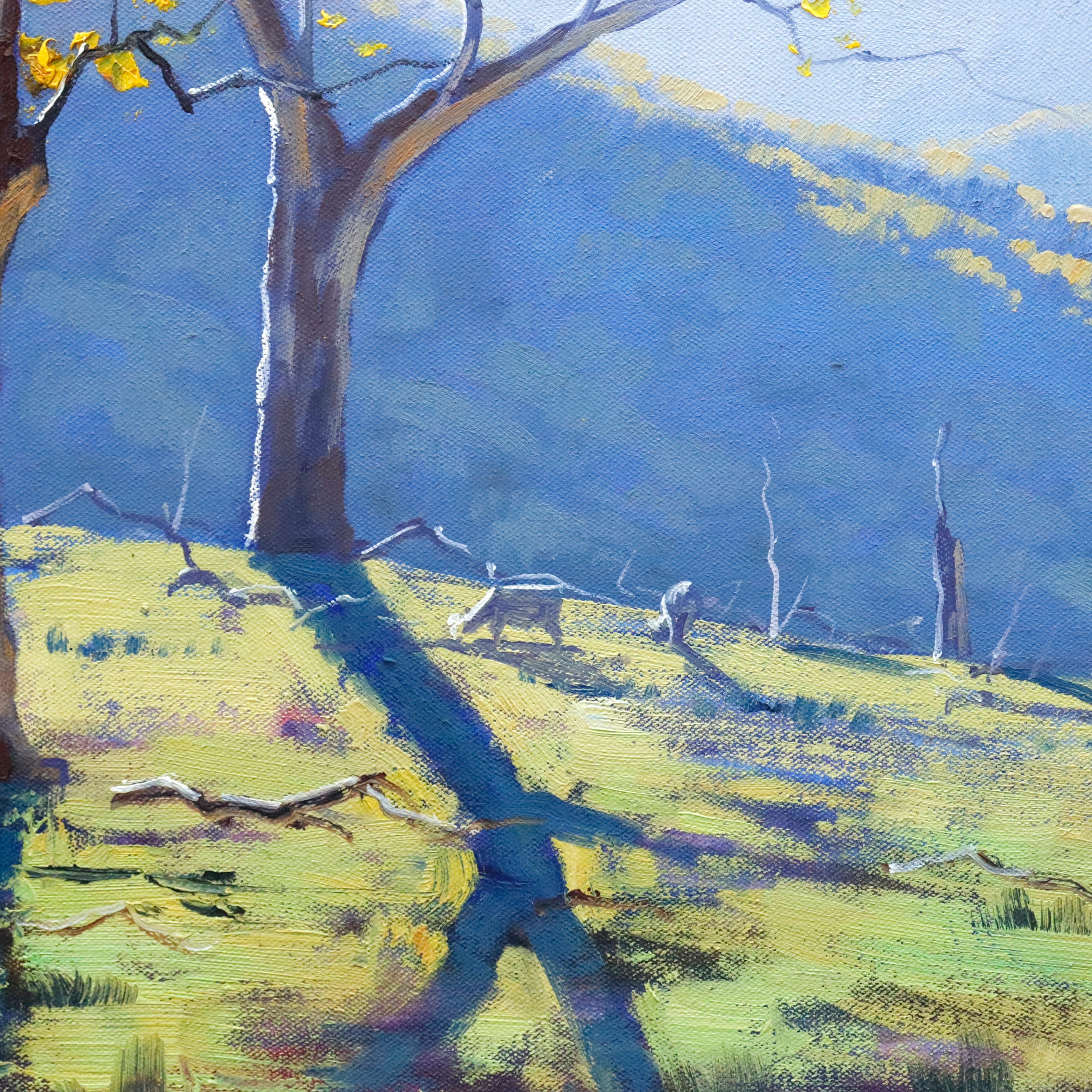 AW965: Graham Gercken Australian Blue Mountains Landscape Turin Hills Oil on Canvas Painting