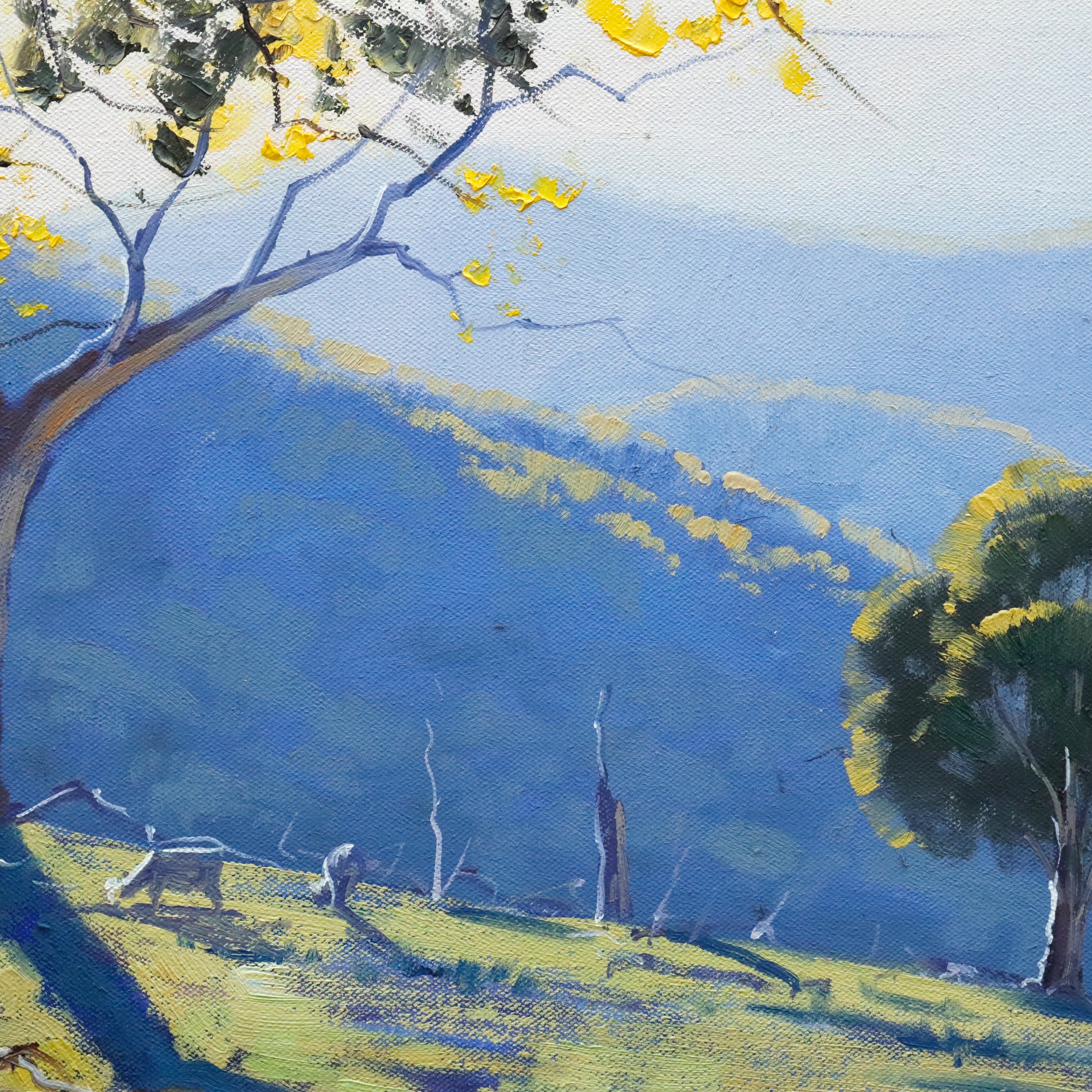 AW965: Graham Gercken Australian Blue Mountains Landscape Turin Hills Oil on Canvas Painting