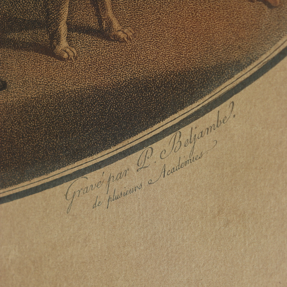 AW7-120: Coucou, d' apers Leroy - 18th Century Hand Colored Chisel Engraving By Pierre-Guillame-Alexandre Beljambe