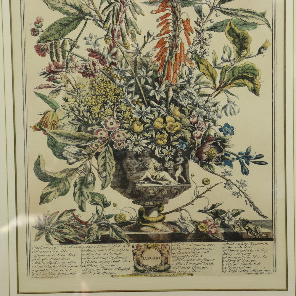 AW7-015: C 1730 Robert Furber - January Floral Calendar Hand Colored Etching - Engraved by H. Fletcher