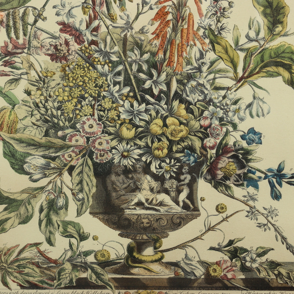 AW7-015: C 1730 Robert Furber - January Floral Calendar Hand Colored Etching - Engraved by H. Fletcher
