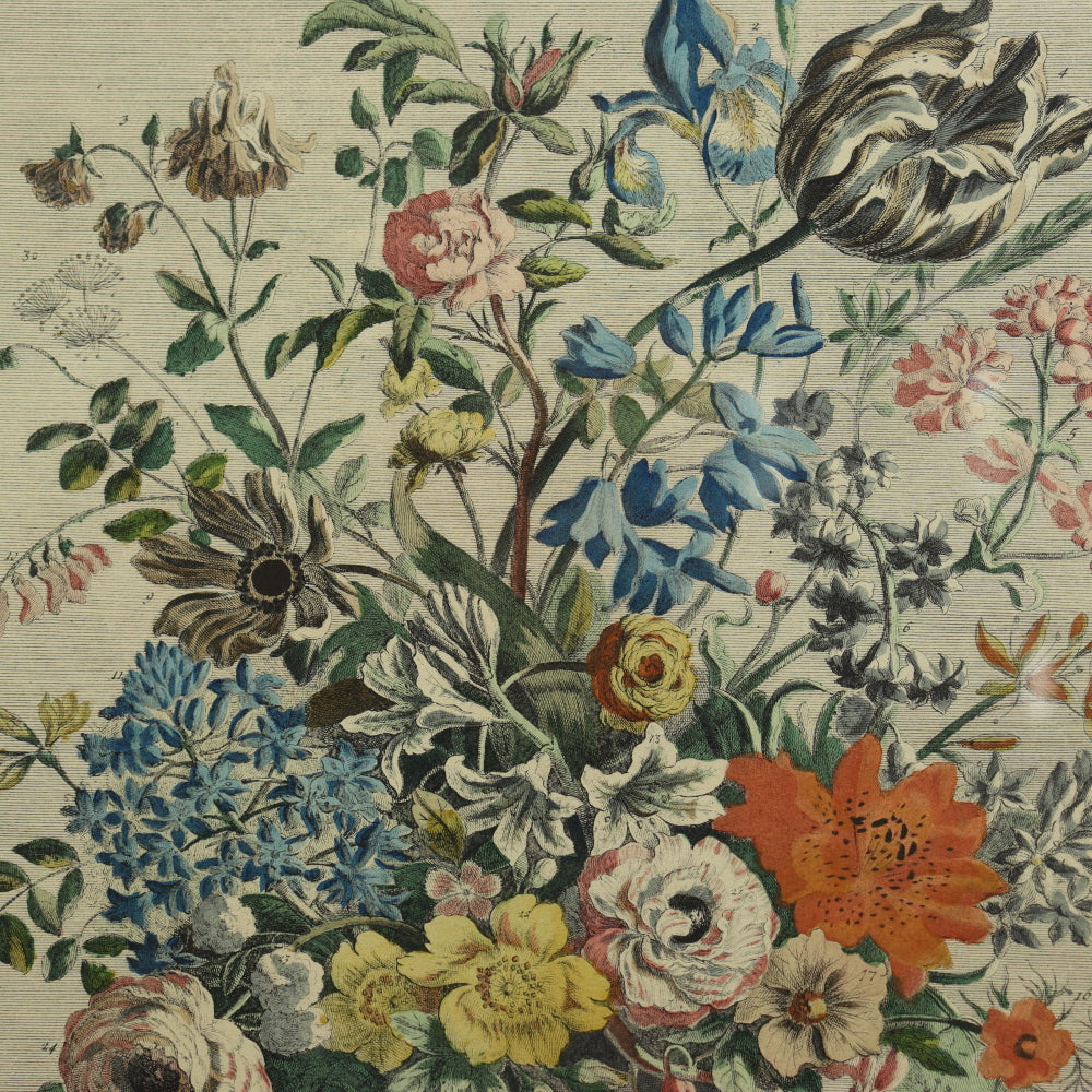 AW7-014: C 1730 Robert Furber - May Floral Calendar Hand Colored Etching - Engraved by H. Fletcher