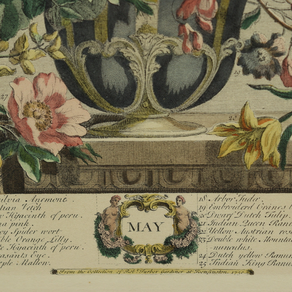 AW7-014: C 1730 Robert Furber - May Floral Calendar Hand Colored Etching - Engraved by H. Fletcher