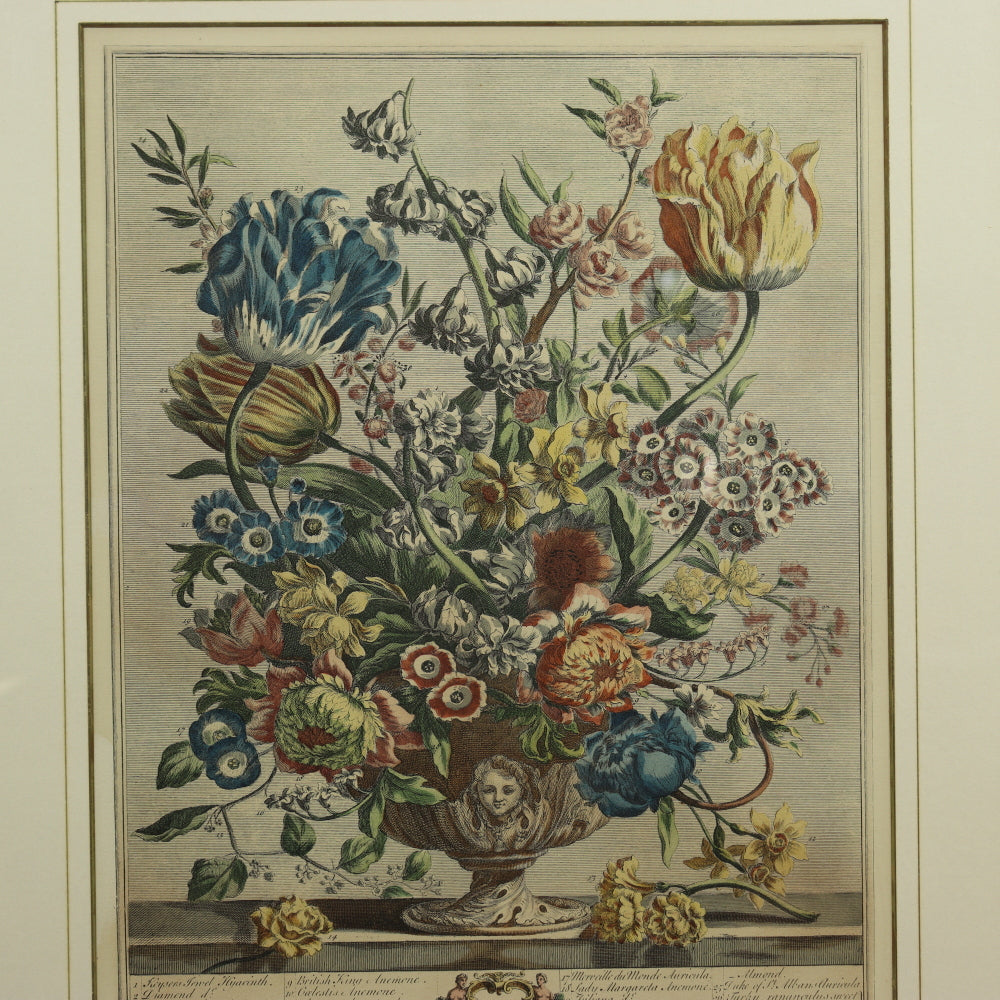 AW7-016: C 1730 Robert Furber - April Floral Calendar Hand Colored Etching - Engraved by H. Fletcher