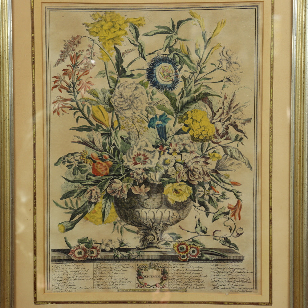 AW7-012: C 1730 Robert Furber - September Floral Calendar Hand Colored Etching - Engraved by H. Fletcher
