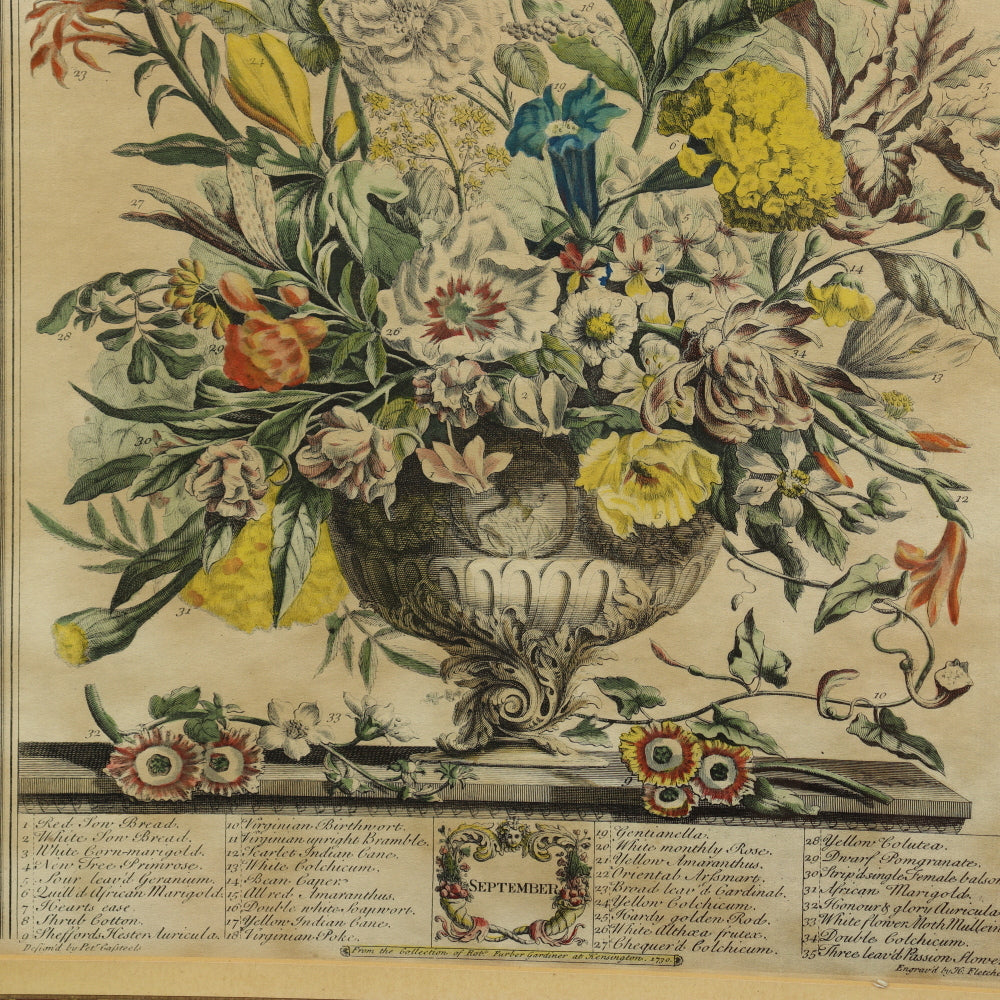 AW7-012: C 1730 Robert Furber - September Floral Calendar Hand Colored Etching - Engraved by H. Fletcher