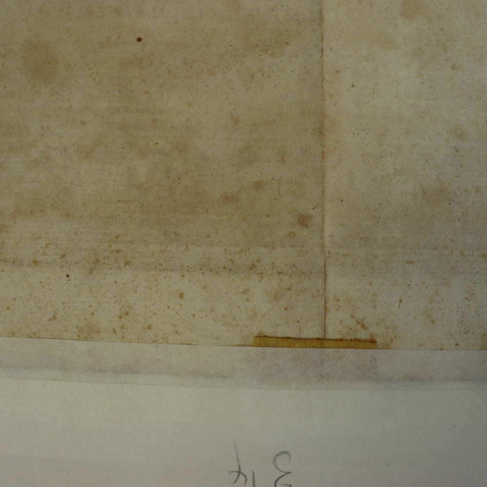 AW7-033: Circa 1690 Etching of Michelangelo Designed Architectural Cornice Details of the Del Palazzo Farnese, Rome By Alessandro Specchi