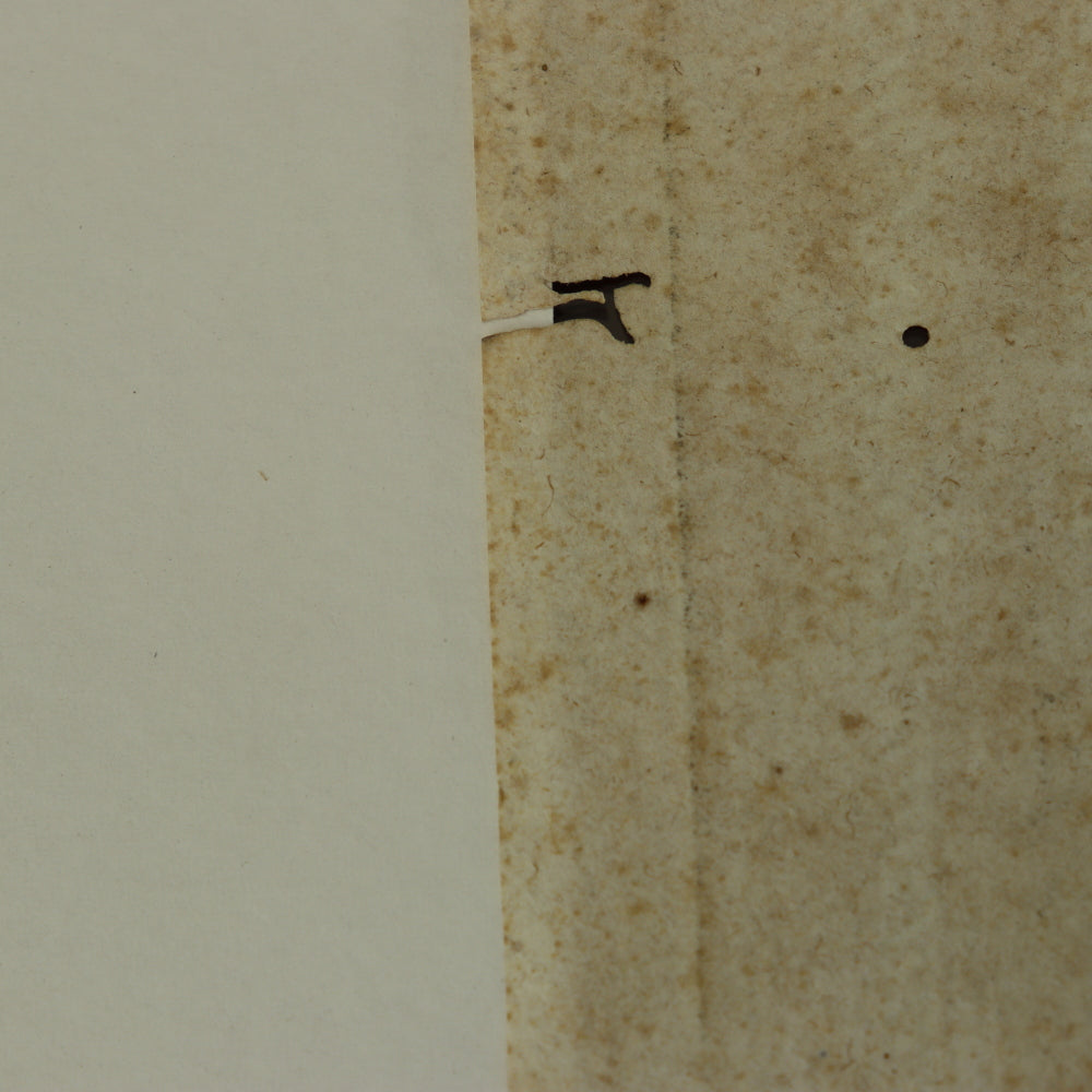 AW7-033: Circa 1690 Etching of Michelangelo Designed Architectural Cornice Details of the Del Palazzo Farnese, Rome By Alessandro Specchi