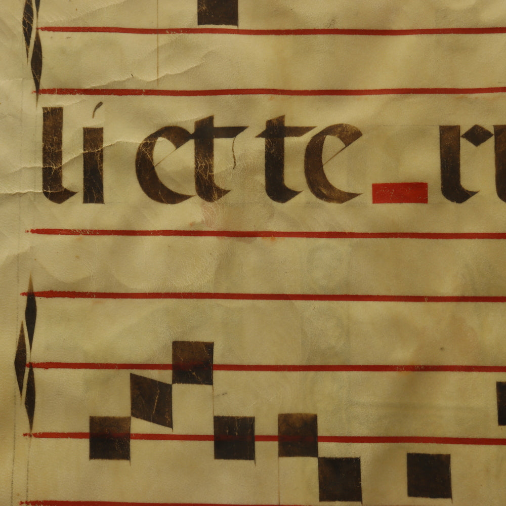 AW6-420: 16th Century Latin Gregorian Aniphonal Manuscript With Illuminated Letters
